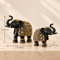 Aurum Gaja size guide